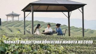 Чаена индустрия, обогатява, живота, село