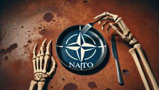 Основна уязвимост, НАТО