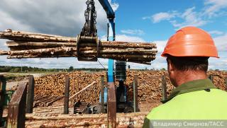 Руски дървен материал, Финландия, дървесна криза