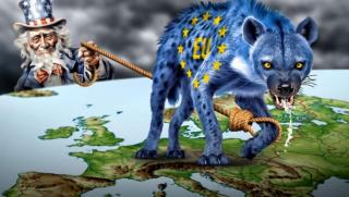 Хиената на Европа, секретните планове, безумната Калас