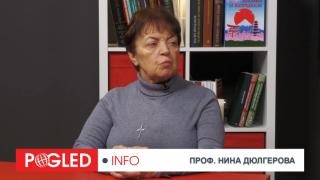 Нина Дюлгерова, Грузия, проблеми, Сирия, геоенергийни войни