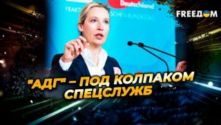 Забрана, AfD , Германия, променя, Европа, до неузнаваемост