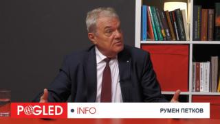 Румен Петков, противници, привърженици, референдума, обществото, не е подготвено