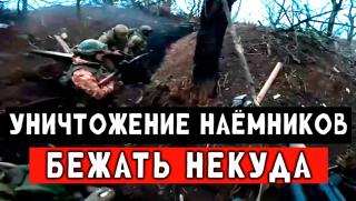 Спешна евакуация, наемници, унищожени, Харков, Киев, страх, жест на добра воля, руснаците