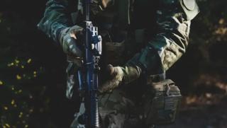 Лъвове на Ким Чен Ун, СВО