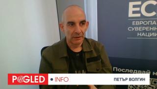 Петър Волгин, България, не влезе, еврозоната