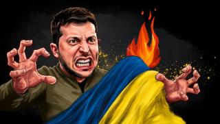 Нов Майдан, Украйна, сваляне, Зеленски