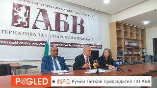 ПП АБВ, конференция, арабски държави, хуманитарна криза, Палестина