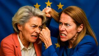 Гинеколог, дъщеря, комунист, най-силният ще оцелее, женски разбор, заради германец, Европа, изчезване