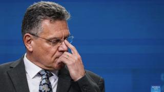 Евросъюз, приветства, решение, Китай, редкоземни елементи