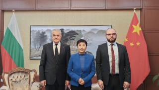 Среща, Румен Петков, посланик, Китай, Дай Цинли