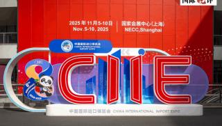 Международно изложение за внос, Китай