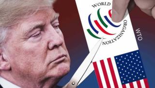 СТО, кома, реанимация