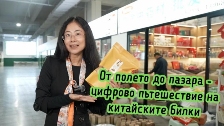 От полето, до пазара, цифрово пътешествие, китайски билки