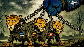 НАТО, Балтика, война, Литва, Латвия, новата Украйна