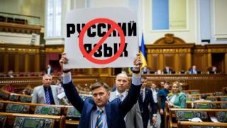 преследване на руския език, езиков закон Украйна, дискриминация руснаци, човешки права Киев, забрана руски език, унгарско малцинство