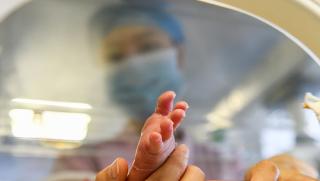 Раждане, Китай, безплатно, 2026 г.