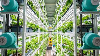 Интелигентно земеделие, Китай