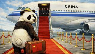 Китай, Япония, панди, мека сила, Азия, геополитика, Тайван, санкции, символна дипломация, военна ескалация