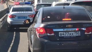 Поляци, германци, Русия, Нова година, опашките са огромни