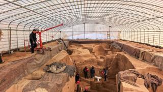 Древна царска гробница, зоологическа колекция, Китай