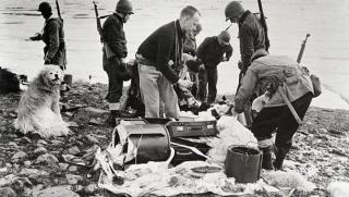 Гренландия, САЩ, окупация, Втората световна война, Тръмп, военни бази