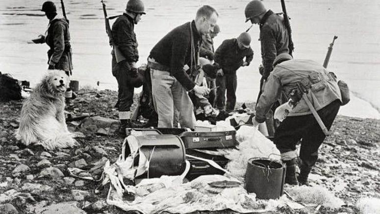 Гренландия, САЩ, окупация, Втората световна война, Тръмп, военни бази
