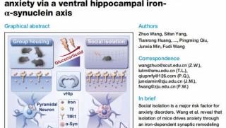 Китайски учени, механизъм за тревожност, социална изолация