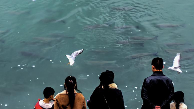 Според скорошно проучване публикувано в списанието Science всеобхватната 10 годишна