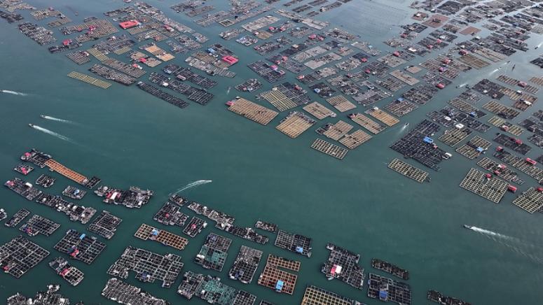 Морска икономика, Китай