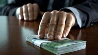 Съвети, избирателя, избори, Радев