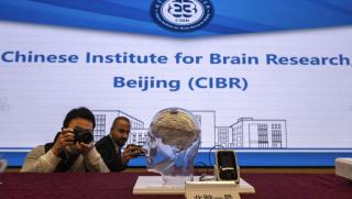 Китай, развитие, мозъчно-компютърни технологии
