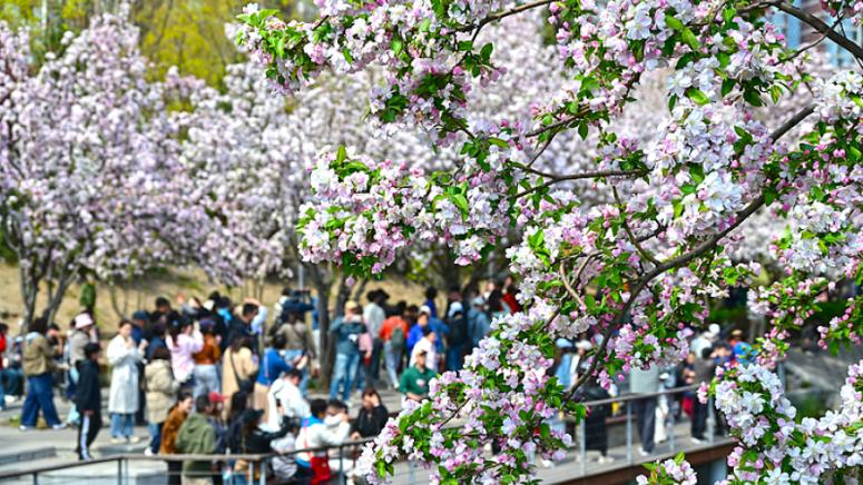 Китай, потребление, почивни дни, празника Цинмин