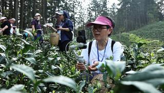 Китай, електронна търговия, подкрепа, реалната икономика