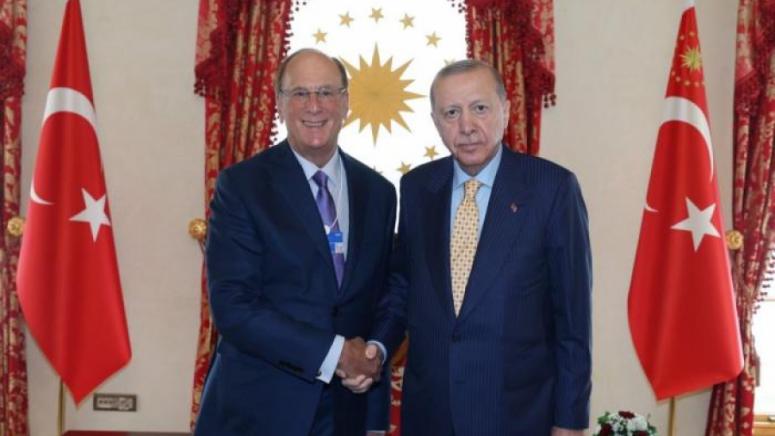 Ердоган, BlackRock, Лари Финк, Турция, икономика, енергийни коридори, Близък изток, Мехмет Шимшек